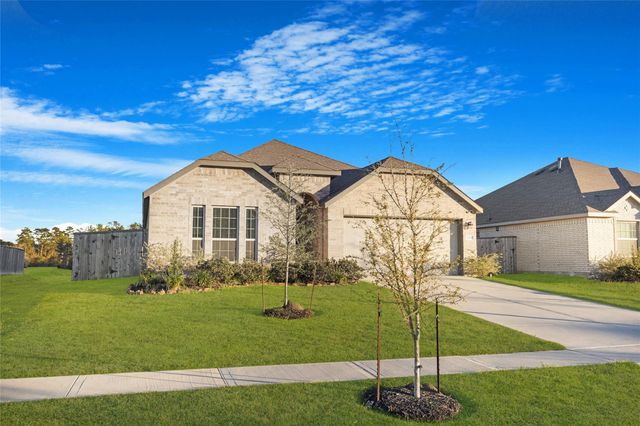 19111 Pinewood Grove Trail, New Caney, TX 77357