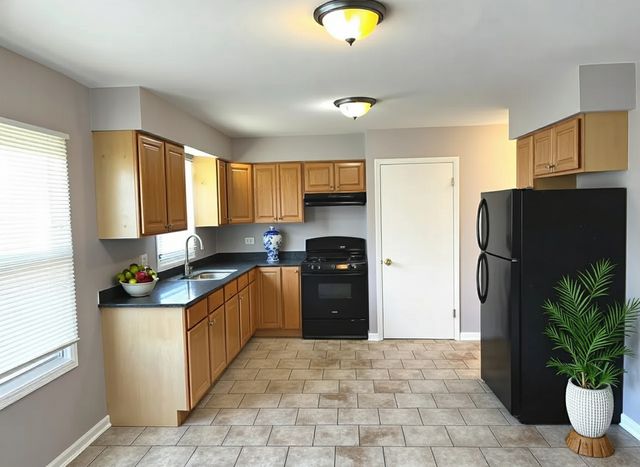 2724 Lake Park Drive, Lynwood, IL 60411