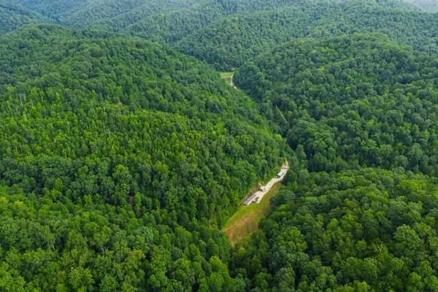 450 Shrilda Ln., Jackson, KY 41339