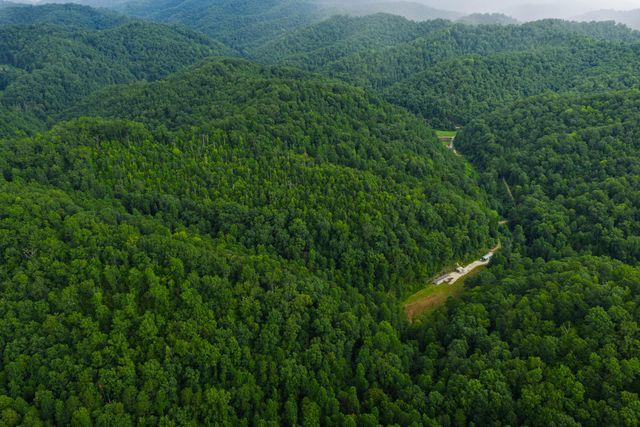 450 Shrilda Ln., Jackson, KY 41339