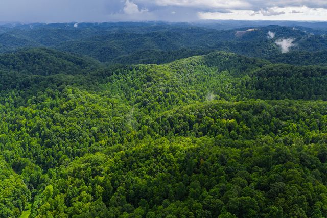 450 Shrilda Ln., Jackson, KY 41339