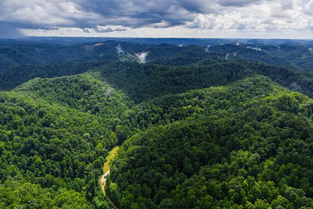 450 Shrilda Ln., Jackson, KY 41339