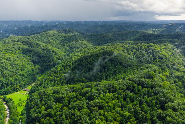 450 Shrilda Ln., Jackson, KY 41339