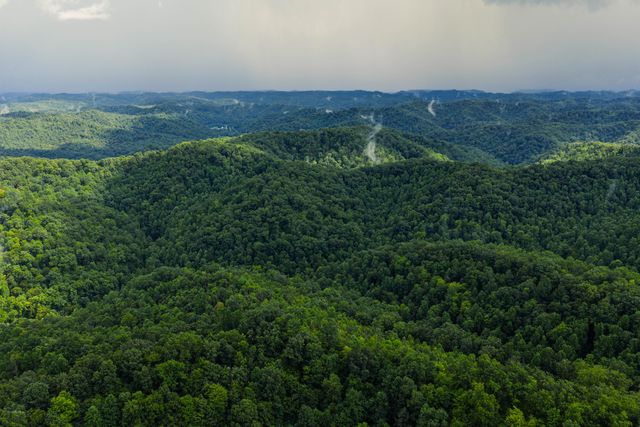 450 Shrilda Ln., Jackson, KY 41339