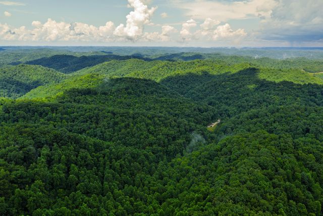 450 Shrilda Ln., Jackson, KY 41339