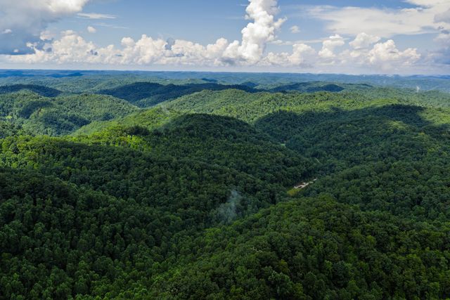 450 Shrilda Ln., Jackson, KY 41339