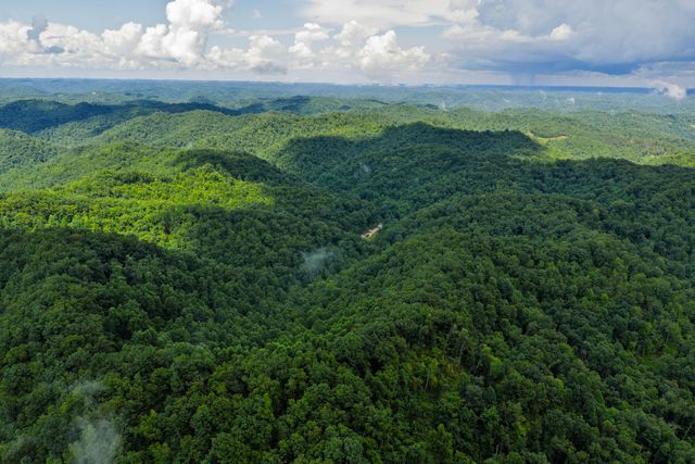 450 Shrilda Ln., Jackson, KY 41339