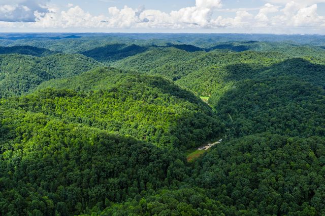 450 Shrilda Ln., Jackson, KY 41339