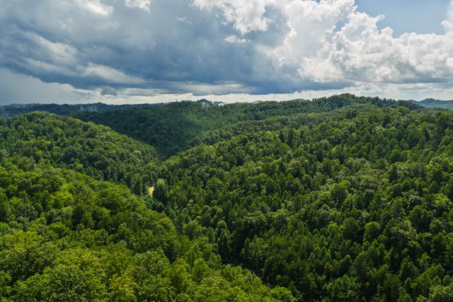 450 Shrilda Ln., Jackson, KY 41339