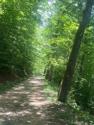 450 Shrilda Ln., Jackson, KY 41339