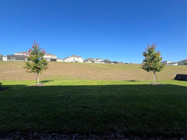 2367 JUNIPER BERRY DRIVE, Minneola, FL 34715