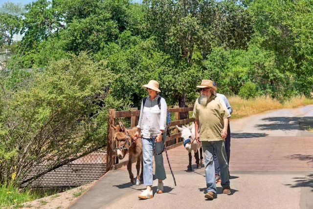 750 Los Robles Avenue, Palo Alto, CA 94306