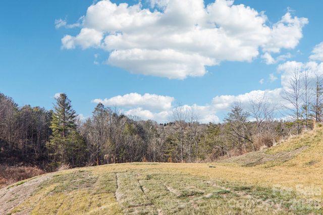 827 Adelston Lane, Asheville, NC 28804