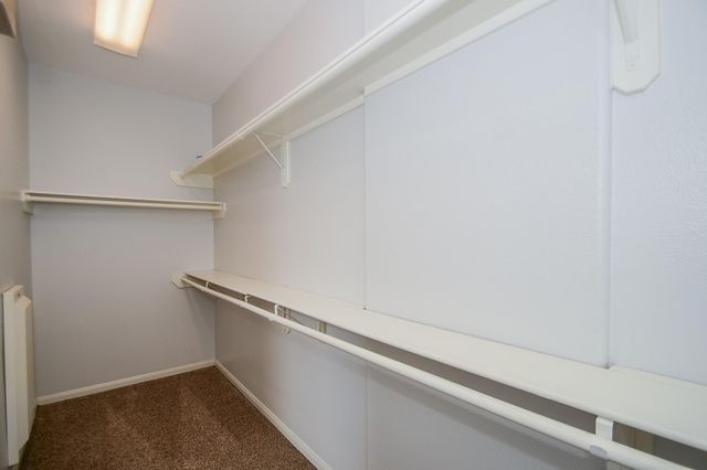 10002 Pine Flats Drive, Houston, TX 77095
