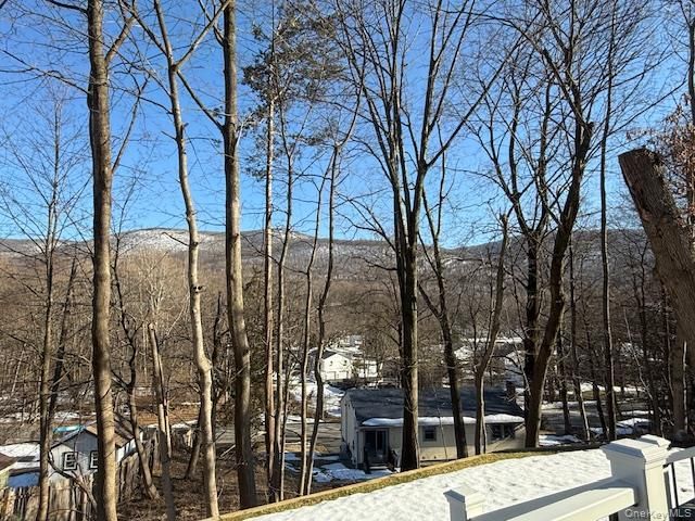 42 Wesley Avenue, Beacon, NY 12508