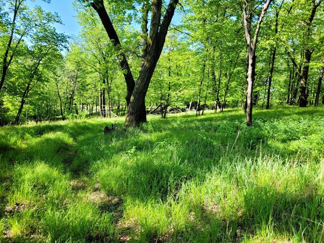 798 S Shore Drive, Detroit Lakes, MN 56501