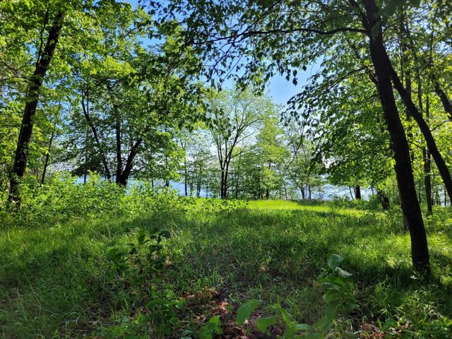 798 S Shore Drive, Detroit Lakes, MN 56501