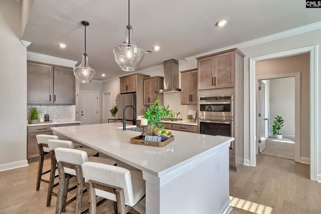 415 Rainbow Shad Way, Lexington, SC 29072