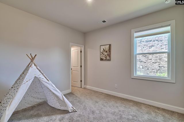 415 Rainbow Shad Way, Lexington, SC 29072