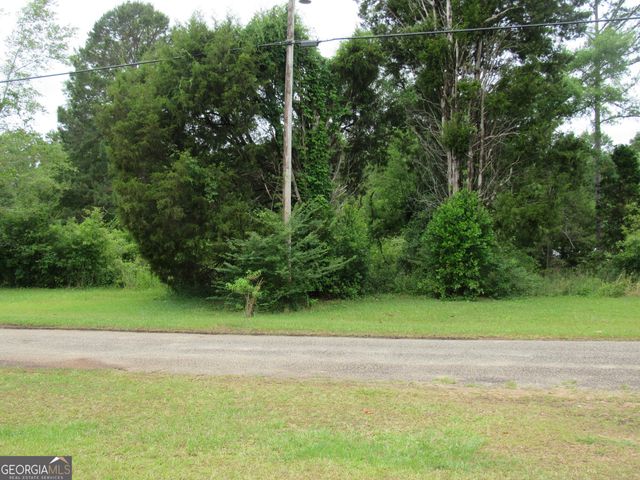 124 Woodland Drive, Georgetown, GA 39854