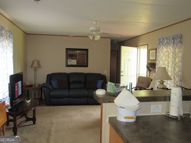 124 Woodland Drive, Georgetown, GA 39854