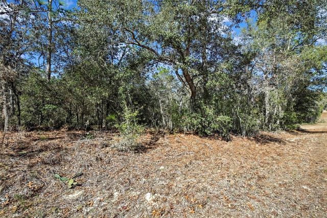 3292 N ANNAPOLIS AVENUE, Hernando, FL 34442