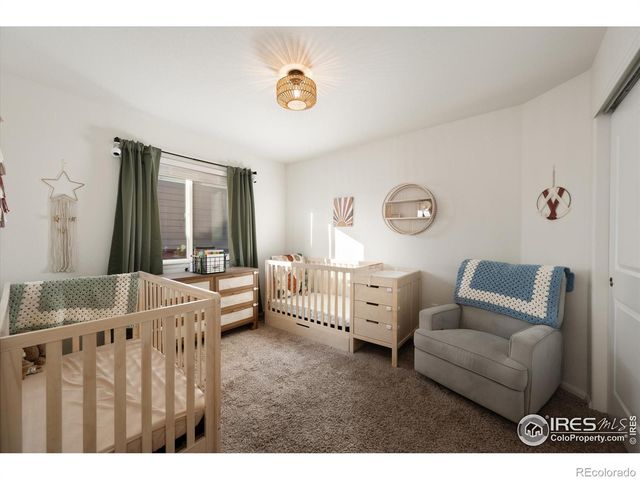 1995 Thundercloud Drive, Windsor, CO 80550