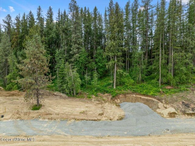 NKA Baja Lot 1 Ln, Oldtown, ID 83822
