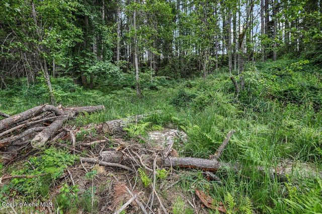NKA Baja Lot 1 Ln, Oldtown, ID 83822