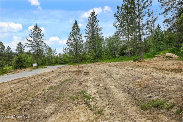 NKA Baja Lot 1 Ln, Oldtown, ID 83822