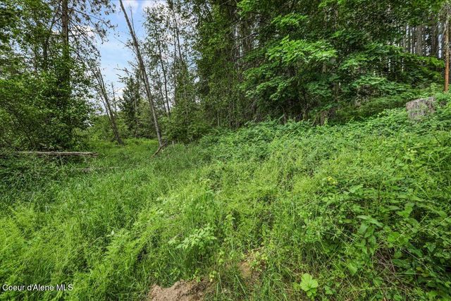 NKA Baja Lot 1 Ln, Oldtown, ID 83822