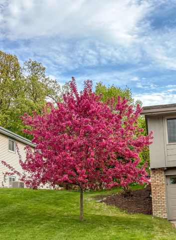 13863 62nd Avenue N, Maple Grove, MN 55311