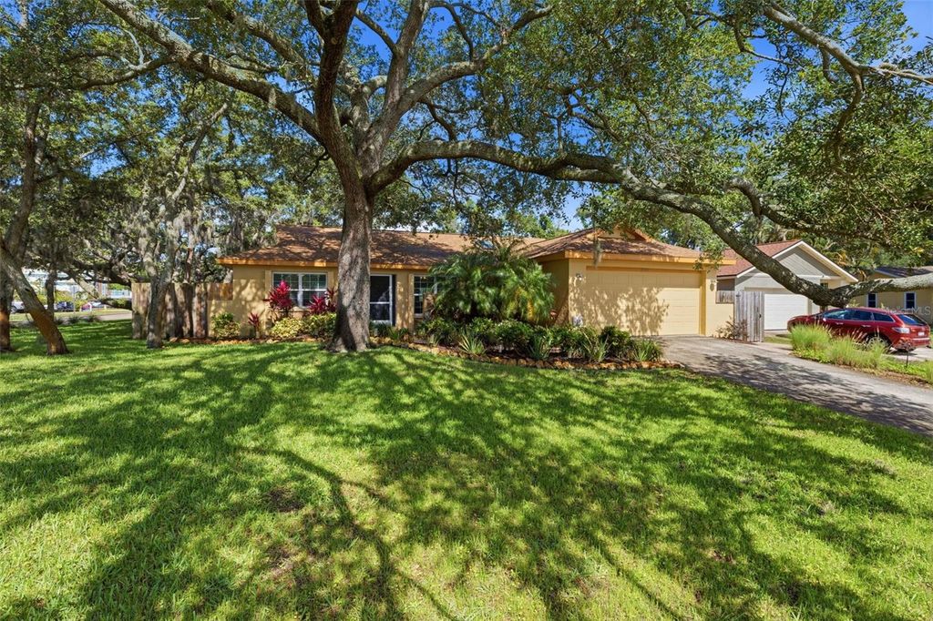 3301 BRIARWOOD LANE, Safety Harbor, FL 34695