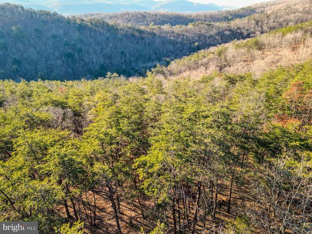 77.45 AC MOUNTAIN COVE, Petersburg, WV 26847