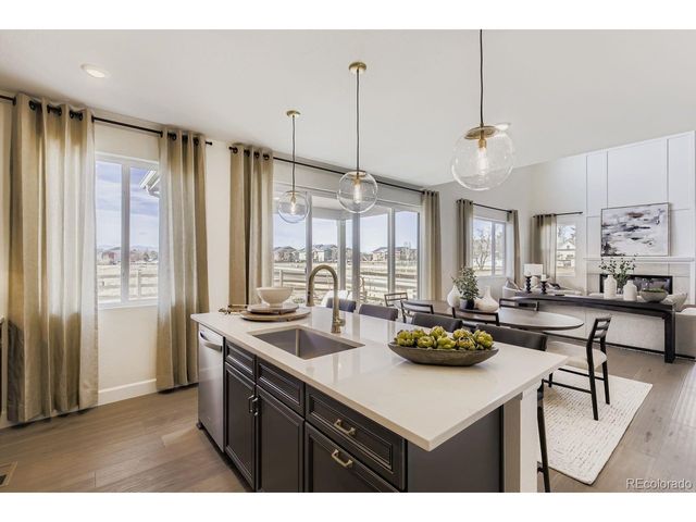 13373 Finnhorse St, Parker, CO 80134