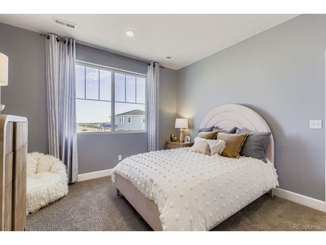 13373 Finnhorse St, Parker, CO 80134