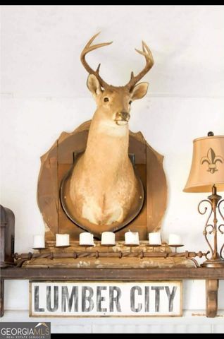 11 Short Cut Road, Lumber City, GA 31549