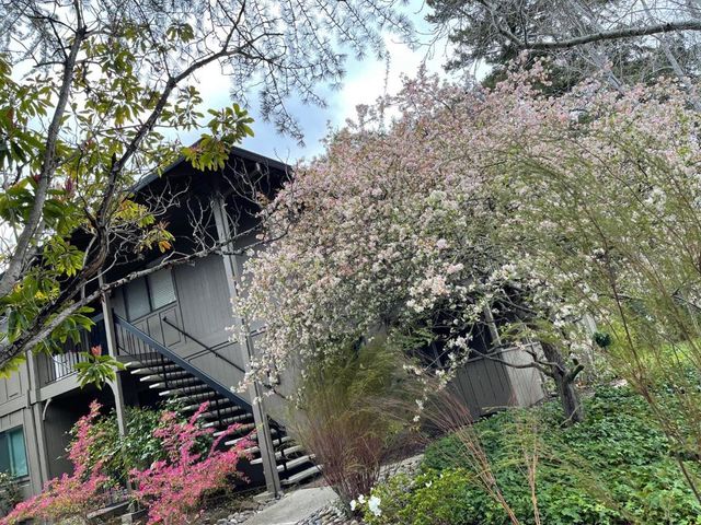 14660 Big Basin Way C, Saratoga, CA 95070