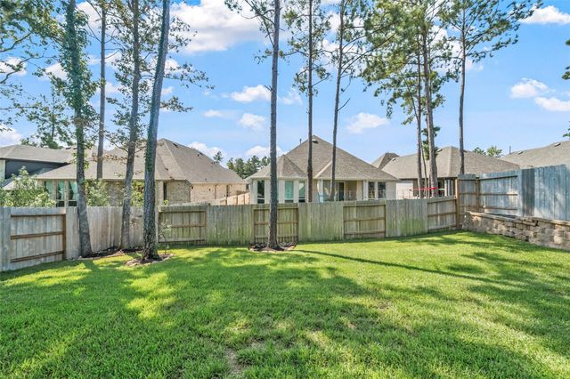 419 N Hillary Step Place, Montgomery, TX 77316