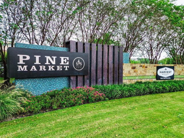 419 N Hillary Step Place, Montgomery, TX 77316