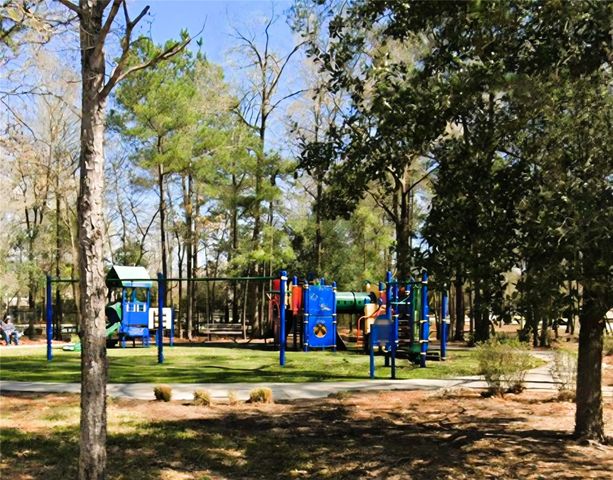 14614 Carolina Hollow Lane, Houston, TX 77044