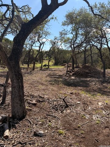 247 Restless Wind, Spring Branch, TX 78070