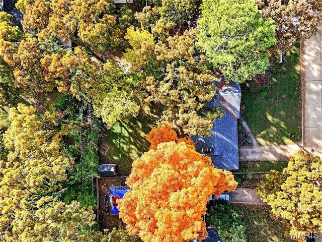 450 Forest Green Drive, Webster Groves, MO 63119