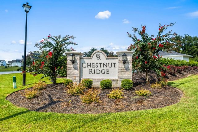 246 Hayloft Circle, Conway, SC 29526
