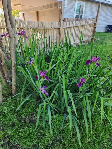 146 Creekside Drive, Onalaska, TX 77360