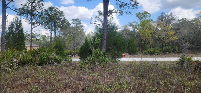 18119 PARROT ROAD, Weeki Wachee, FL 34614