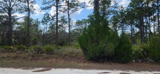 18119 PARROT ROAD, Weeki Wachee, FL 34614