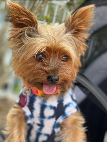 12432 PALATKA DRIVE, Venice, FL 34293