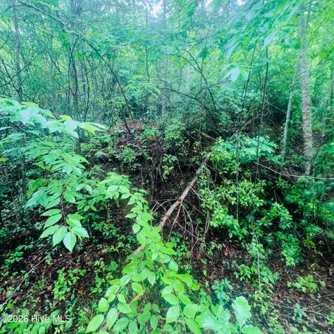 Lot 20 Owl Bluff, Murphy, NC 28906