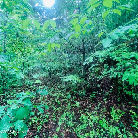 Lot 20 Owl Bluff, Murphy, NC 28906